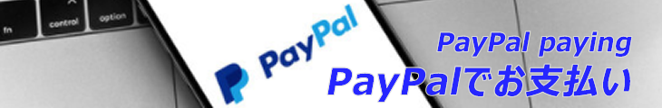 PayPaly[W
